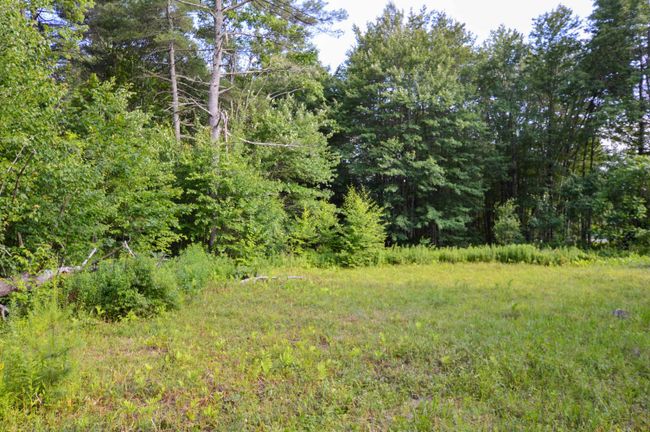 LOT-3 - 00 Vt Route 103 N, Home with 0 bedrooms, 0 bathrooms and null parking in Chester VT | Image 22