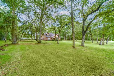 Scattered mature hardwoods everywhere! | Image 2