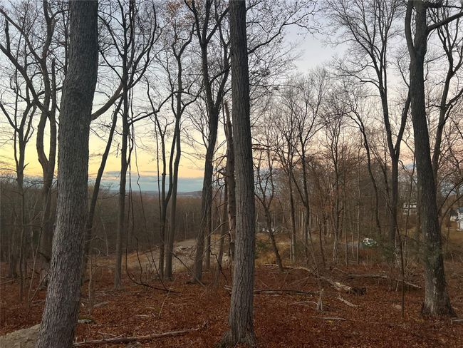 View of nature at dusk | Image 6