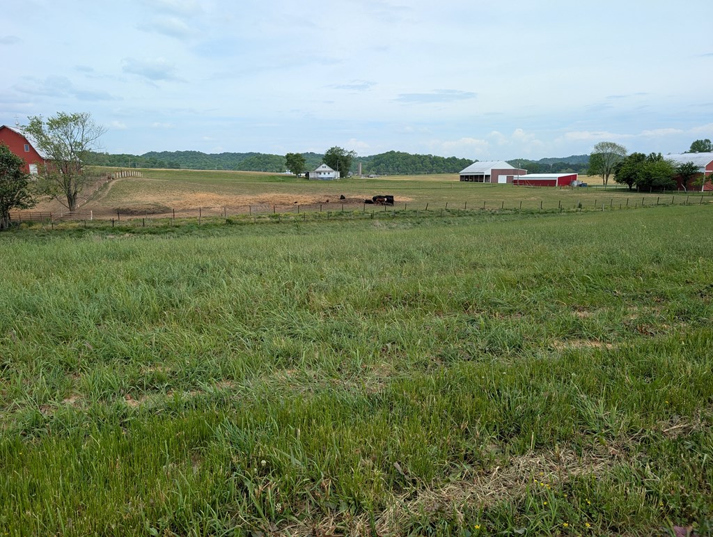 Land in Burkesville 2