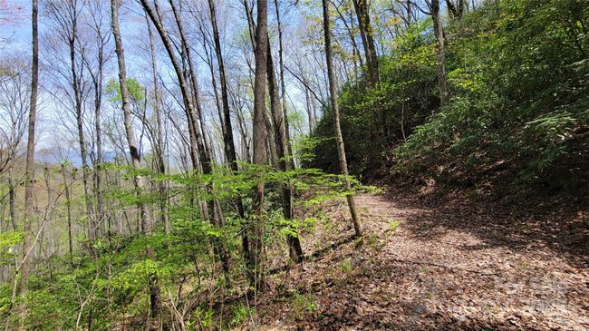 27 - 27 Lacy Fern Rdg, Home with 0 bedrooms, 0 bathrooms and null parking in Sylva NC | Image 13