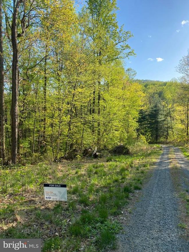 0 Revenooer Rd, Home with 0 bedrooms, 0 bathrooms and null parking in MADISON VA | Image 7