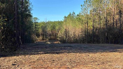 lot 58 Straw Bridge Rd, Jay, FL, 32565 | Card Image