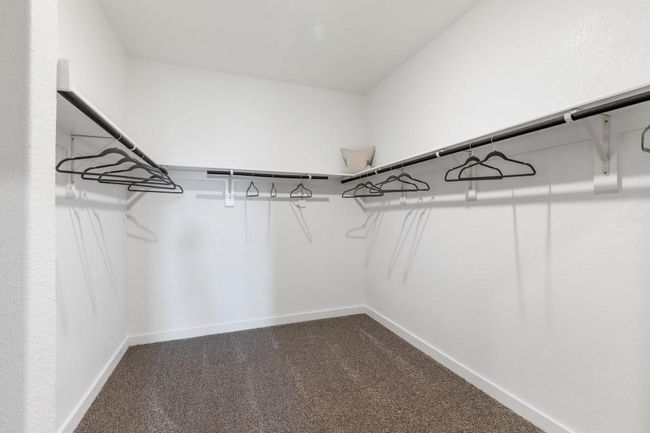 Spacious Walk-in closet featuring carpet flooring | Image 8