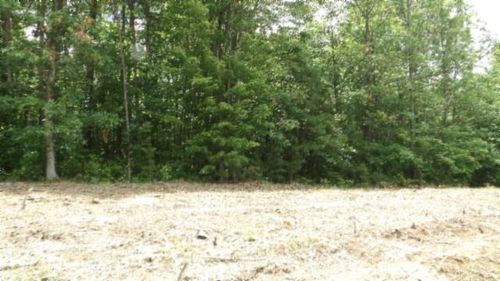 Lot 222 Hilltop Ln, Wilder, TN, 38589-5013 | Card Image