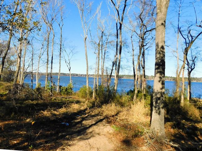 3126 Shadow Pine Dr, Home with 0 bedrooms, 0 bathrooms and null parking in LaRue TX | Image 18