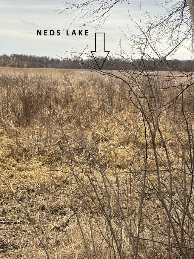 NEDS LAKE photo.jpg | Image 10