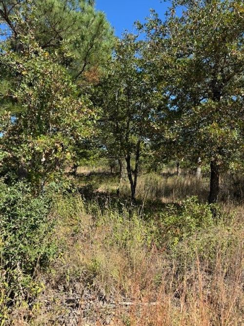 Lot 71 and 72 Choctaw Trail, Smithville, TX, 78957 | Card Image