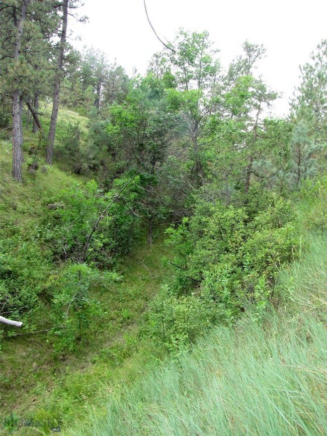 SC-25 - TBD Lone Rock Canyon Lane, Home with 0 bedrooms, 0 bathrooms and null parking in Hysham MT | Image 37