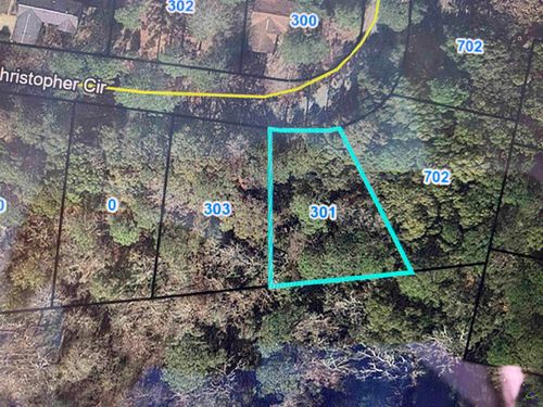 301 Christopher Circle, Montezuma, GA, 31063 | Card Image