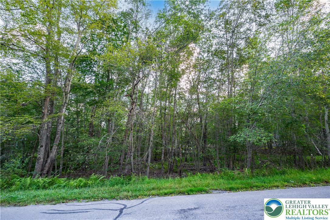 Land in Coolbaugh Twp 3