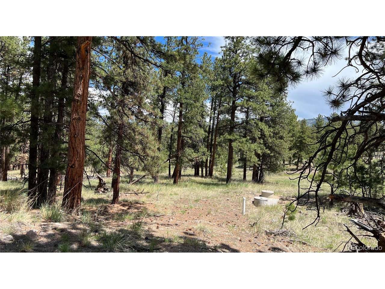 Land in Westcliffe 5