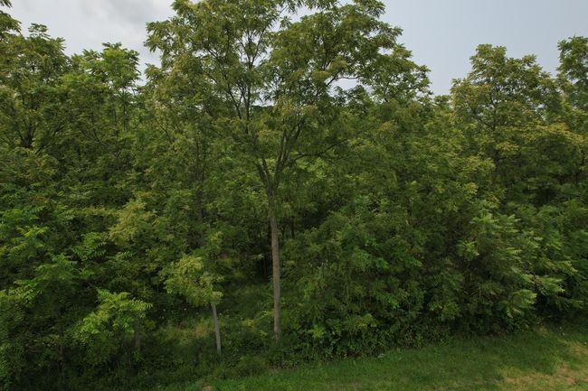 00 1950 North Ave, Home with 0 bedrooms, 0 bathrooms and null parking in Princeton IL | Image 8