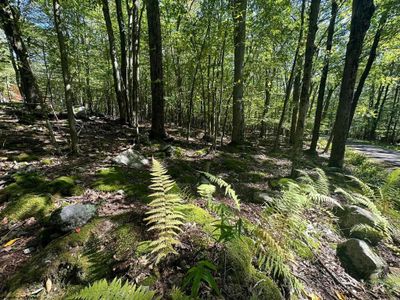 LOT-50-ANDAMP-51-BERN-SEC - Lots 50 &amp; 51 Beebalm Court, Home with 0 bedrooms, 0 bathrooms and null parking in Terra Alta WV | Image 2