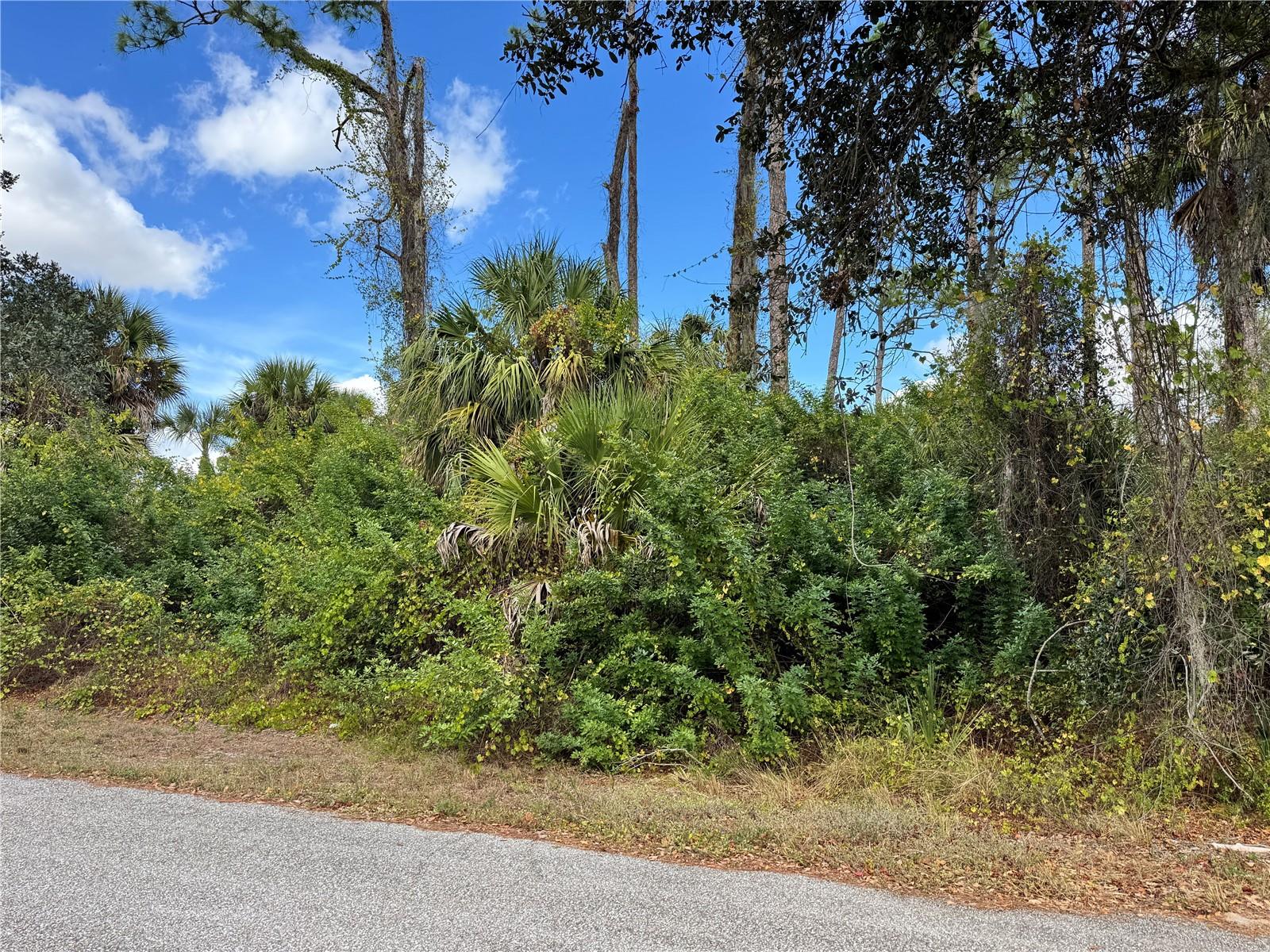 Land in PORT CHARLOTTE