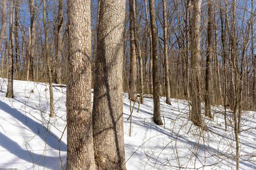 Lot 1 Cales Road, Morgantown, WV, 26542 | Card Image