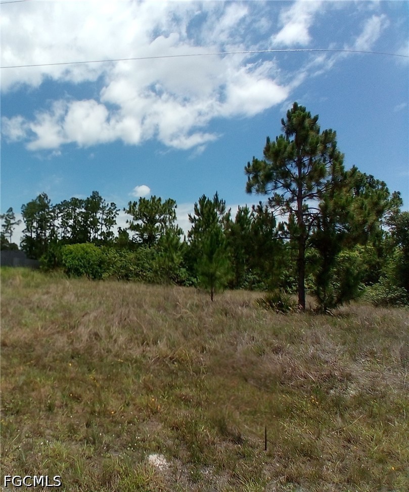 Land in Lehigh Acres 5