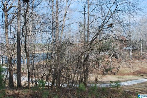 8-acres-150 County Road 261, Lineville, AL, 36266 | Card Image