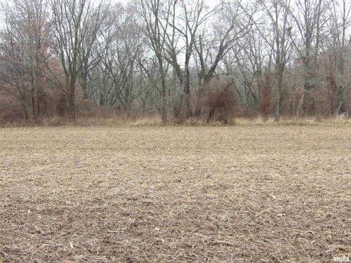 0000 Frisco Rd, Ewing, IL, 62836 | Card Image