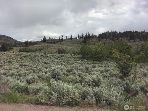 44 Palmer Mountain Rd, Oroville, WA, 98844-9307 | Card Image