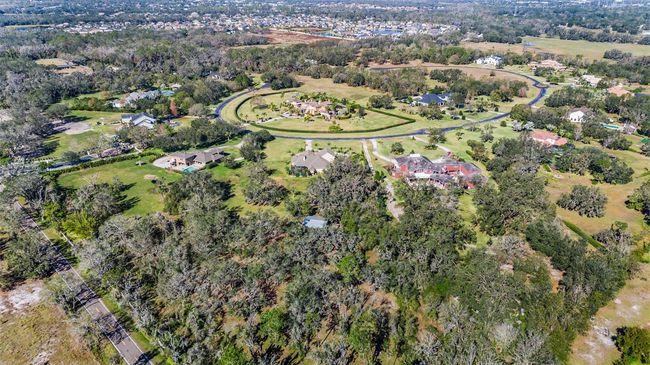 11518 Hammock Oaks Ct, House other with 4 bedrooms, 6 bathrooms and null parking in LITHIA FL | Image 56