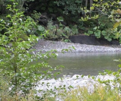 5 Van Duzen Ave, Carlotta, CA, 95528 | Card Image