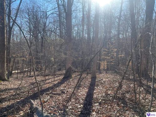 1848 Levelwoods Road, Buffalo, KY, 42716 | Card Image