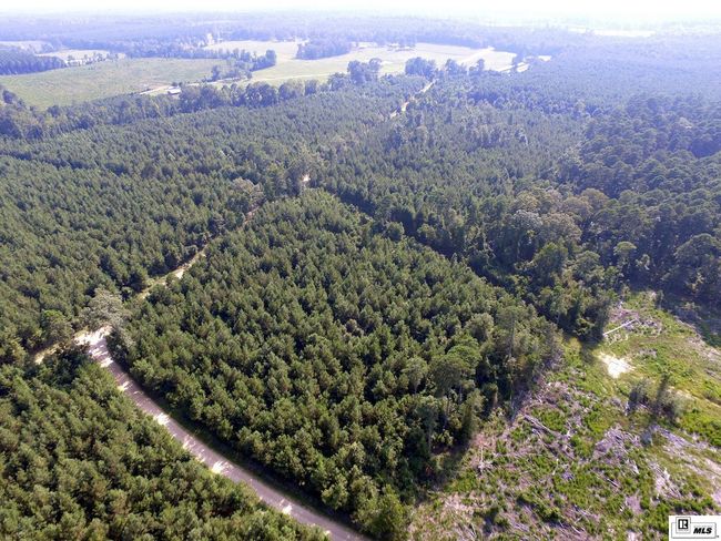 0 Tucker Store Rd, Home with 0 bedrooms, 0 bathrooms and null parking in Spearsville LA | Image 21