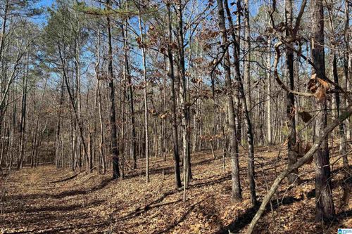 44-Lot 44 Beach Island Trace, DADEVILLE, AL, 36853 | Card Image