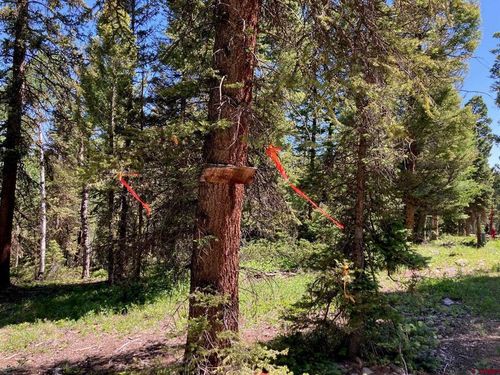 147 Ridge Rd, Cimarron, CO, 81220-9523 | Card Image