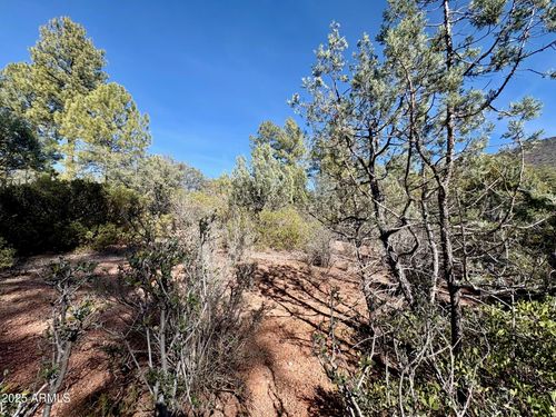 19-19 Elk Rub Ln, Pine, AZ, 85544 | Card Image