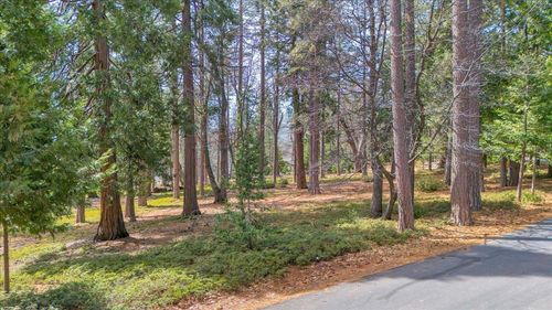 5556 Wylderidge Dr, Murphys, CA, 95247-9405 | Card Image