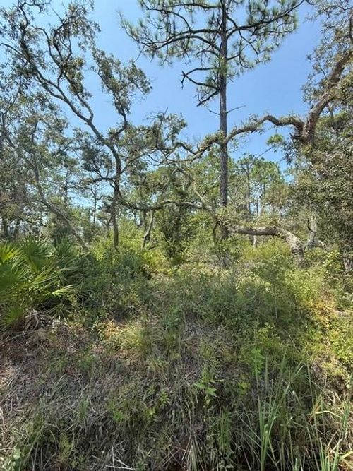 Lot 2 5th Ave Nw, STEINHATCHEE, FL, 32359 | Card Image
