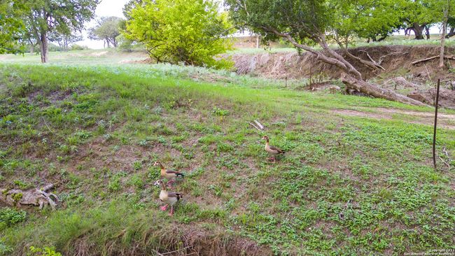 TRACT 5 46 Fm 1621, Home with 0 bedrooms, 0 bathrooms and null parking in Comfort TX | Image 16