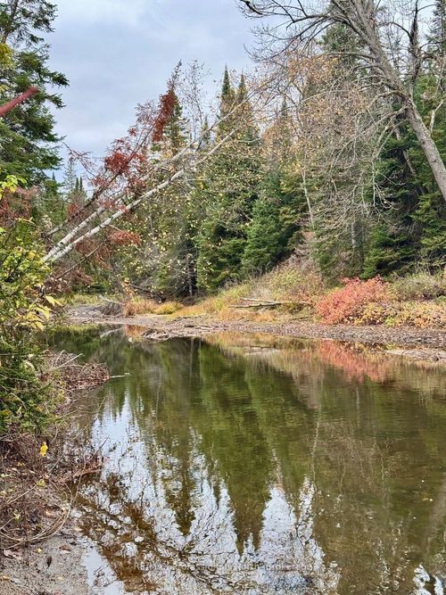 1068 Snookums Lane, Haliburton, ON, K0M1S0 | Card Image