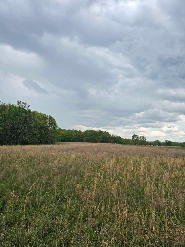 North Field 2 | Image 34
