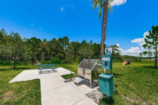 3208 Living Coral Dr, House other with 4 bedrooms, 3 bathrooms and null parking in ODESSA FL | Image 57