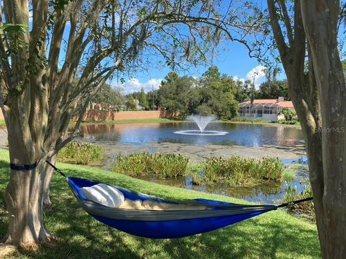 2406 Dana Dr, Safety Harbor, FL, 34695-5000 | Card Image