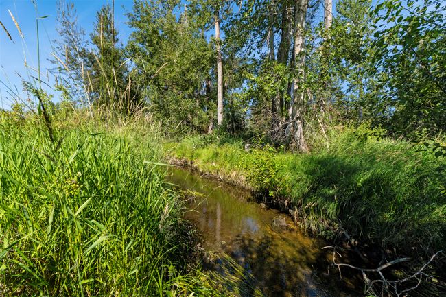 View of nature | Image 12