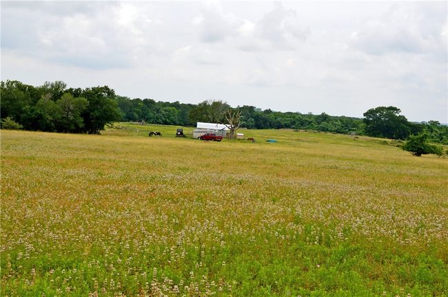 View of yard with a rural view | Image 42