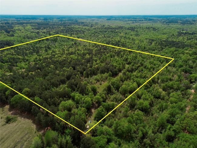 0 County Road 2742, Home with 0 bedrooms, 0 bathrooms and null parking in Naples TX | Image 4