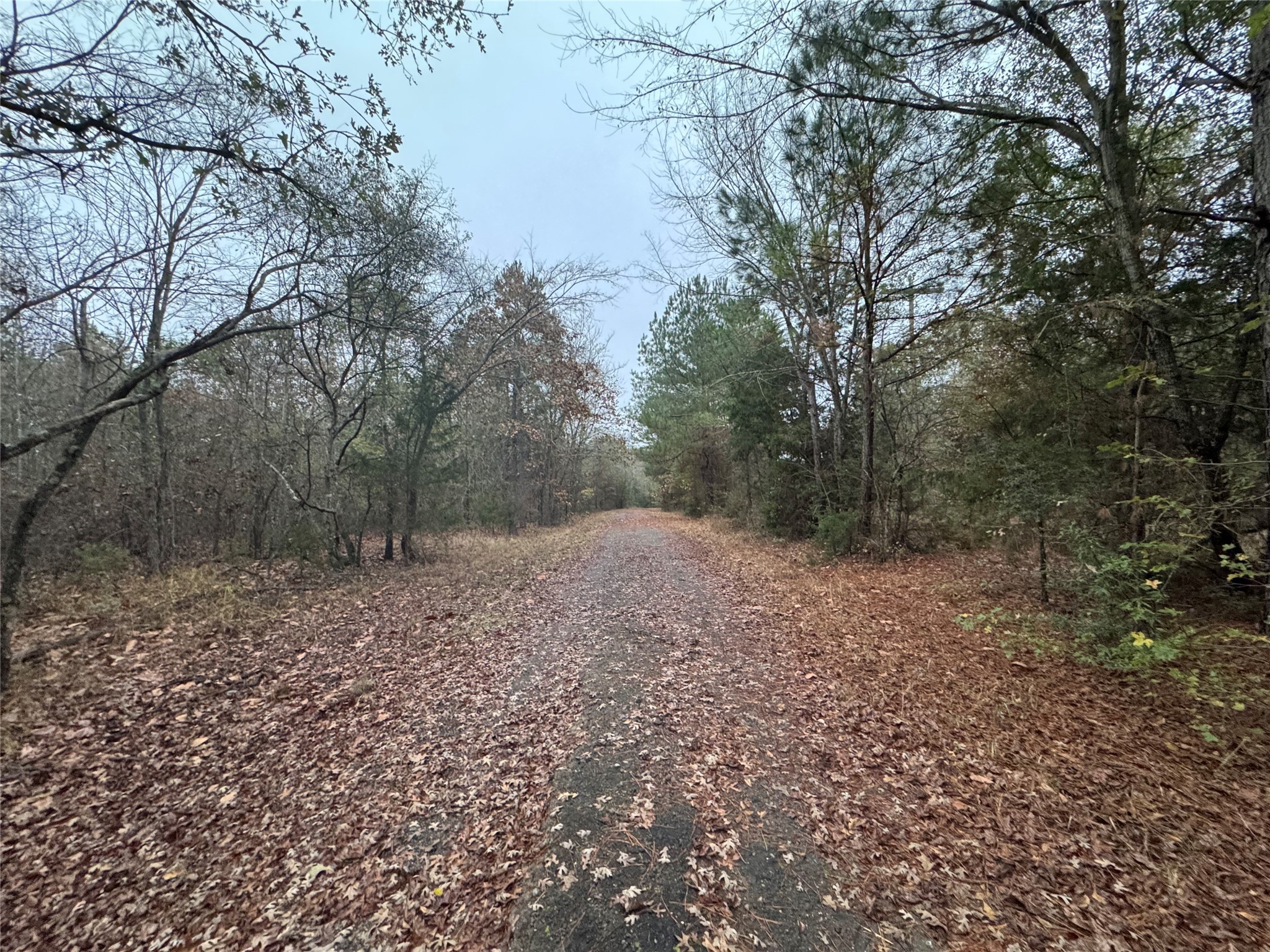 Land in Tyler 2