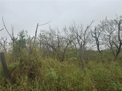 0 Mesquite Trl, Mathis, TX, 78368 | Card Image