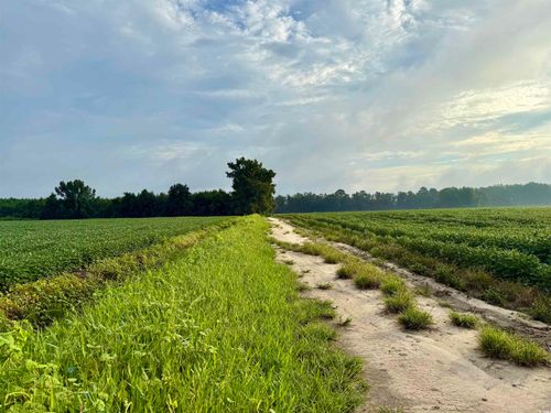 1335 Norwood Rd, Olanta, SC, 29114-9270 | Card Image