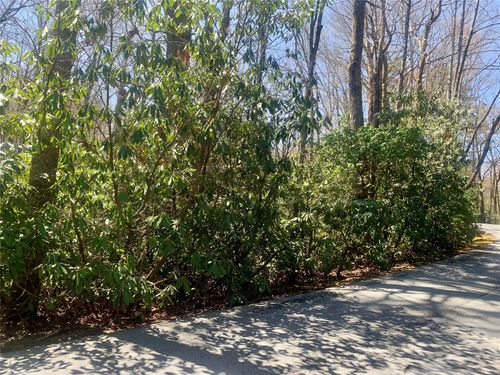 Lot Indian Lake Road, Lake Toxaway, NC, 28747 | Card Image
