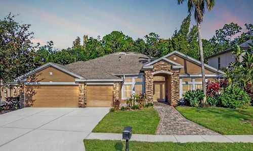 16121 Brecon Palms Pl, TAMPA, FL, 33647-5124 | Card Image