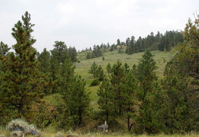 SC-25 - TBD Lone Rock Canyon Lane, Home with 0 bedrooms, 0 bathrooms and null parking in Hysham MT | Image 22