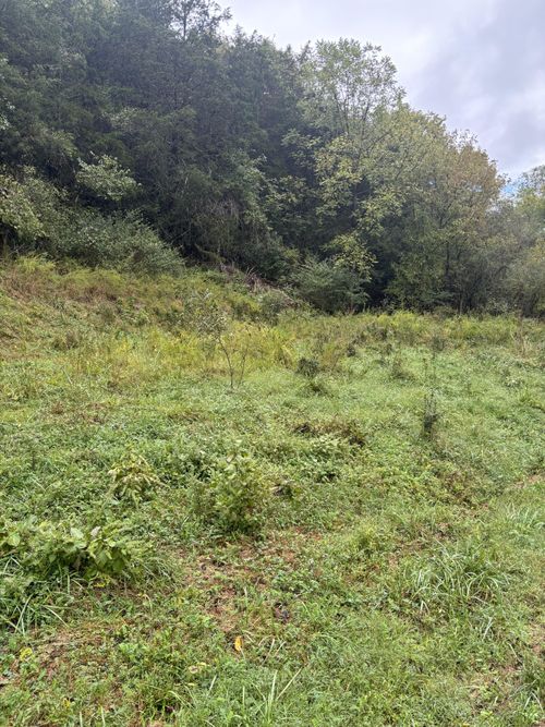 0 W Gipson Ave, Gainesboro, TN, 38562 | Card Image