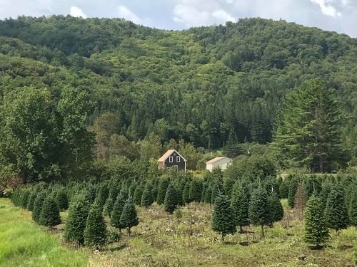 92 Bishop Brook Rd, Stewartstown, NH, 03576-5309 | Card Image