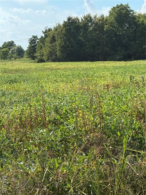 0 W State Highway 84, Hayti, MO, 63851 | Card Image